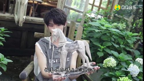 娱乐大爆料时代少年团,娱乐大爆料时代，青春偶像的崛起之路  第3张