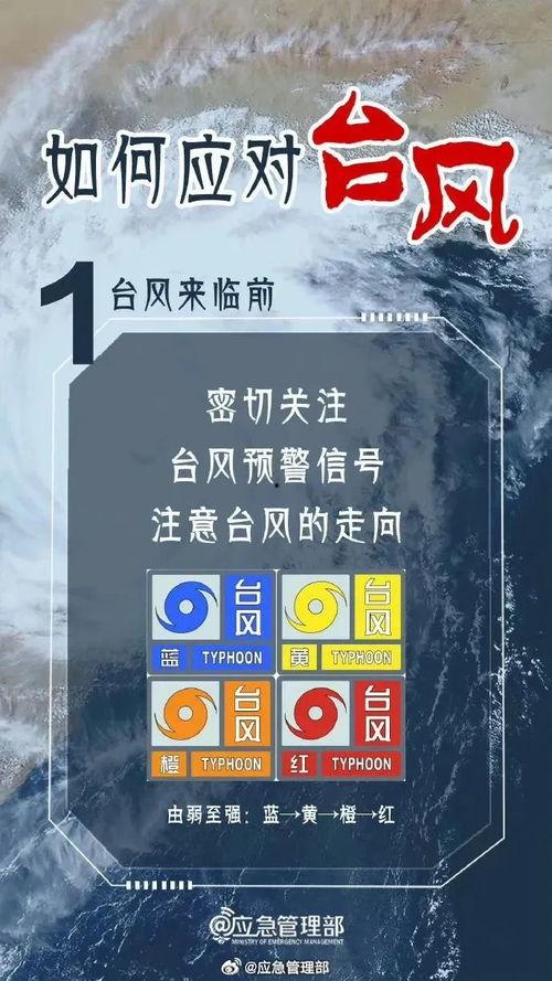 最新台风爆料消息今天新闻,揭秘今日新闻焦点!” 第2张 最新台风爆料消息今天新闻,揭秘今日新闻焦点!” 第2张